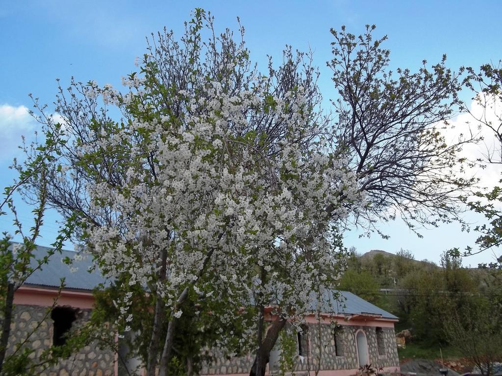 Nemrut Kervansaray Hotel Karadut  Eksteriør billede
